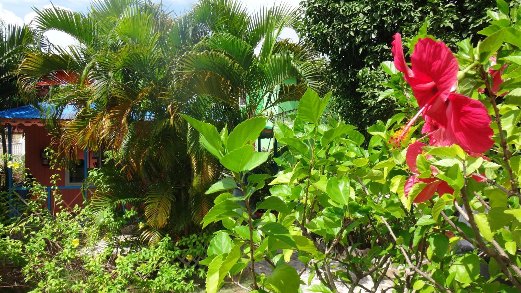 Hotel Posada Del Mar Fresh Water Bay Экстерьер фото